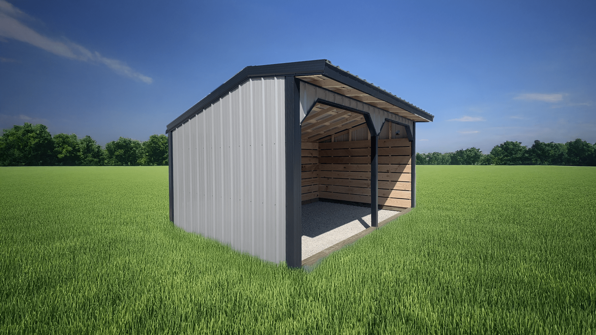 Animal Shelter 1b
