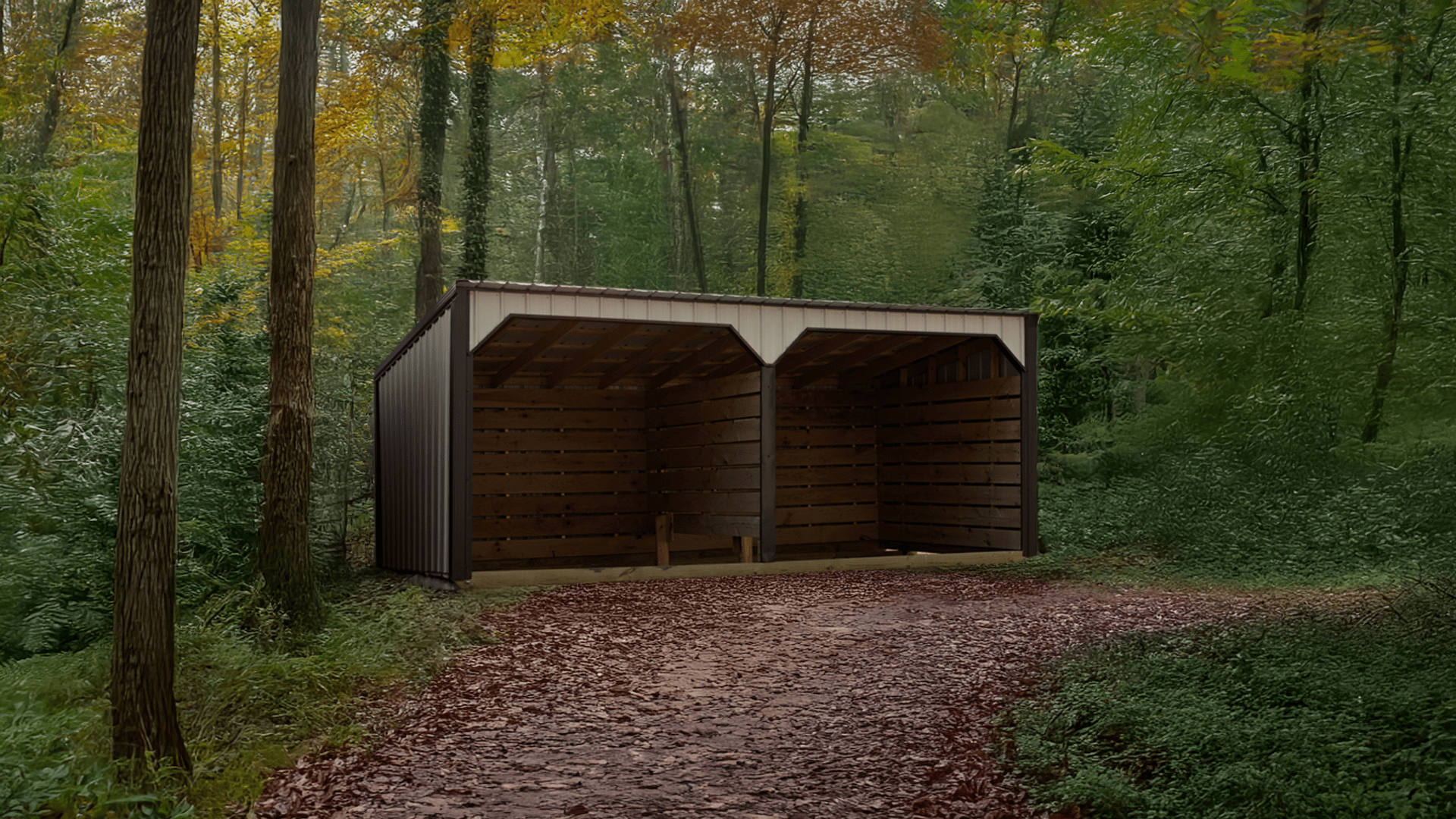 Animal Shelter 1c lofted-garage